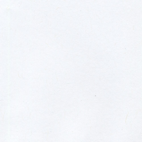 cartulina environment white